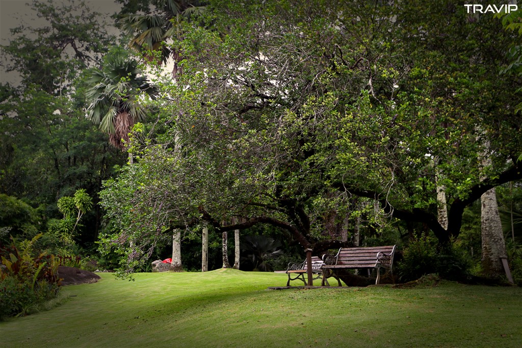 Vườn bách thảo ở thủ đô Victoria
