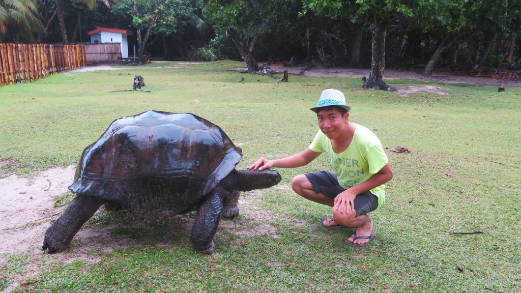 Chơi với rùa ở Seychelles. Rùa gần như là biểu tượng ở quốc gia này.