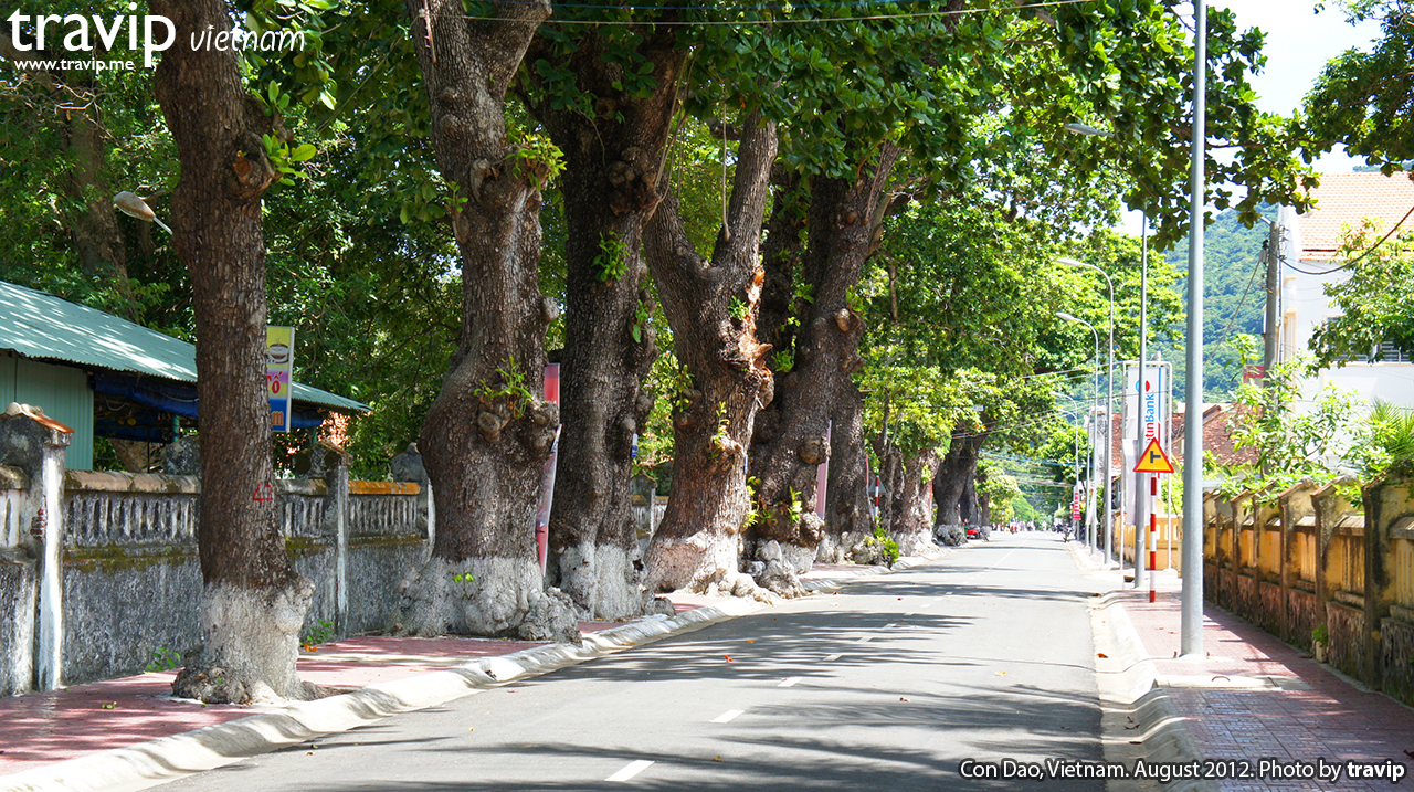 Đường phố vắng vẻ đến lạ thường ở Côn Đảo.