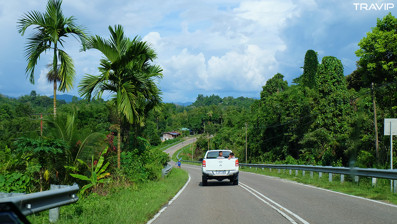 Đoạn đường xanh rì hai bên như thế này không khó kiếm ở bang Sabah, nơi rừng luôn phủ ít nhất 60% diện tích của bang. 